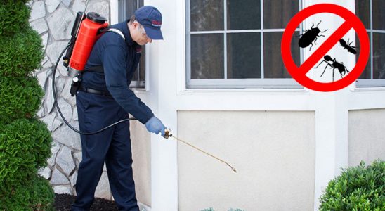 Saraykent Dezenfeksiyon böcek ilaçlama ve haşere kontrolü — ilaclama-tr.com